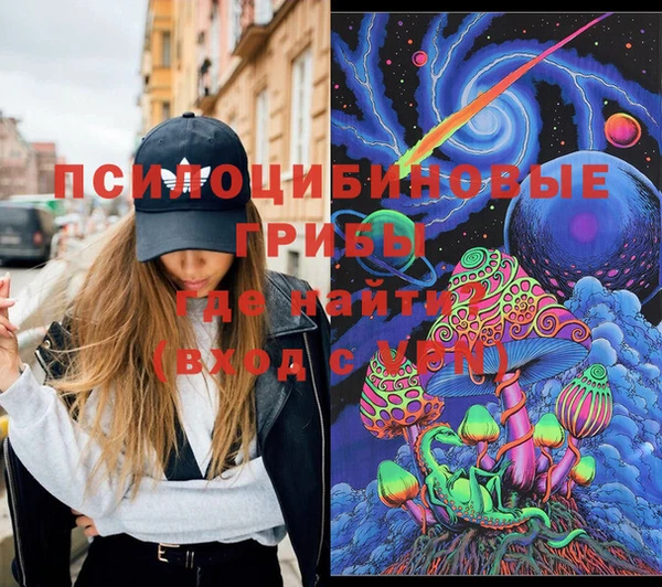 PSILOCYBIN Алзамай