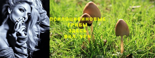 бошки Алексин