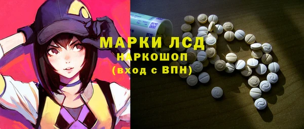 PSILOCYBIN Алзамай