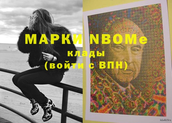 PSILOCYBIN Алзамай